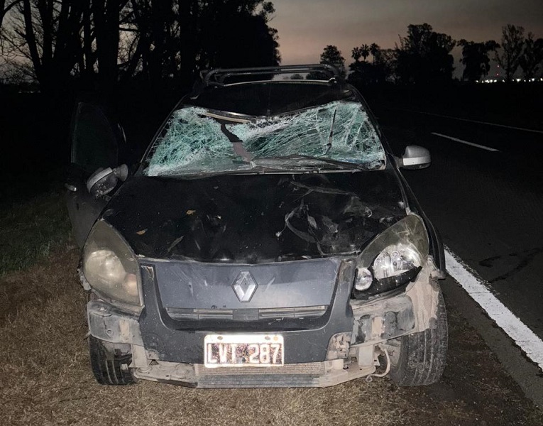 Un auto chocó un caballo en Frontera